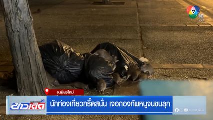 นักท่องเที่ยวกรี๊ดสนั่น เจอกองทัพหนูจนขนลุก