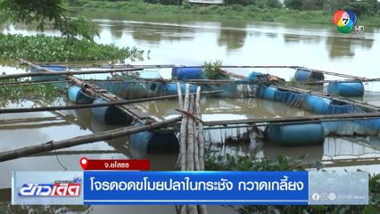 โจรดอดขโมยปลาในกระชัง กวาดเกลี้ยง