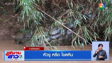 หัวงู หรือ โขดหิน