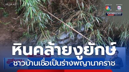 หัวงู หรือ โขดหิน