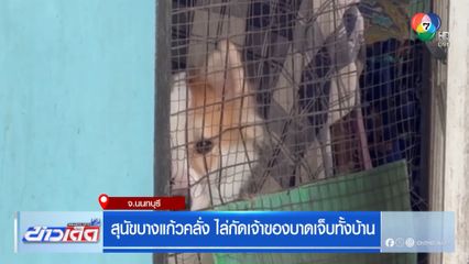 สุนัขบางแก้วคลั่ง ไล่กัดเจ้าของบาดเจ็บทั้งบ้าน