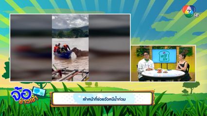 เจ้าหน้าที่ช่วยวัวหนีน้ำท่วม