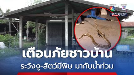 สสจ.นครราชสีมา เตือนชาวบ้านให้ระวังงู-สัตว์มีพิษ มากับน้ำท่วม