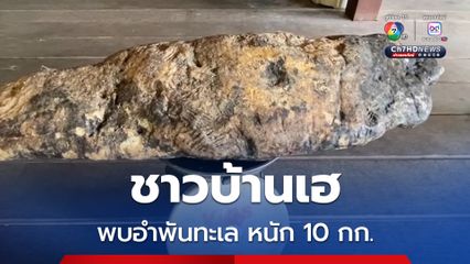 ยิ่งกว่าถูกหวย ฝันว่าเจอไหทองคำ สุดท้ายอำพันทะเล หนัก 10 กก. หวังขายได้ 10 ล้าน