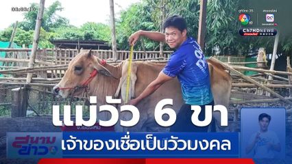 แม่วัวแปลกมี 6 ขา เจ้าของเชื่อเป็นวัวมงคล เลี้ยงไว้จะมีโชคมีลาภ