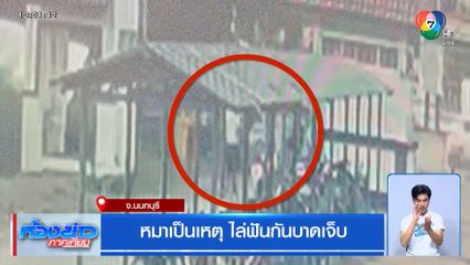 หมาเป็นเหตุ ไล่ฟันกันเจ็บ