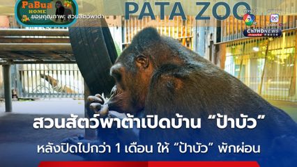สวนสัตว์พาต้า กลับมาเปิดให้เข้าชม “ป้าบัวน้อย” หลังปิดไปกว่า 1 เดือน ให้ป้าบัวพักผ่อน