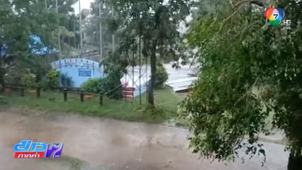 ลมกระโชกแรง พัดต้นไม้หักโค่น