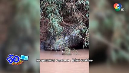 หัวงู หรือ โขดหิน