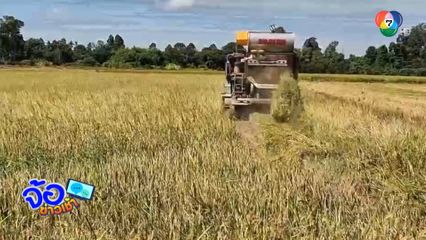 ราคาสินค้าเกษตรปรับตัวลดลง