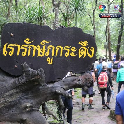 เริ่มแล้ว เปิดพิชิตยอดภูกระดึง เปิดฤดูกาลท่องเที่ยวใหม่