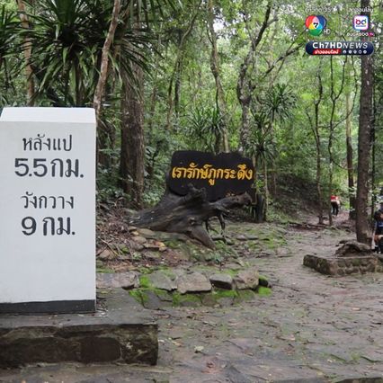 เริ่มแล้ว เปิดพิชิตยอดภูกระดึง เปิดฤดูกาลท่องเที่ยวใหม่