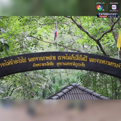 เริ่มแล้ว เปิดพิชิตยอดภูกระดึง เปิดฤดูกาลท่องเที่ยวใหม่