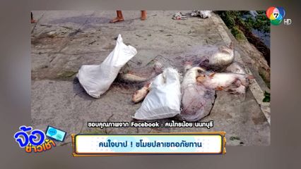 คนใจบาปแอบลงอวนดักปลาในคลองหน้าวัด ชาวบ้านไปเตือนถูกขู่ทำร้าย