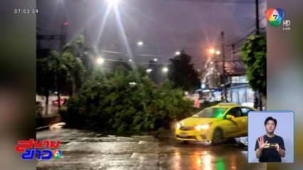 ฝนตกทั่ว กทม. รถติด-ต้นไม้ล้ม