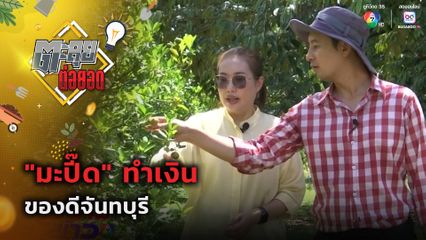 ตะลุยต่อยอด : มะปี๊ด ทำเงิน ของดีจันทบุรี