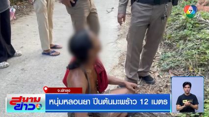 หนุ่มหลอนยา ปีนต้นมะพร้าว 12 เมตร จ.พัทลุง