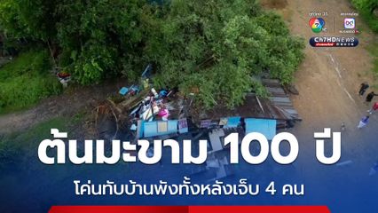 ต้นมะขาม 100 ปี โค่นทับบ้านพังทั้งหลังเจ็บ 4 คน