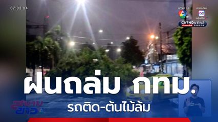 ฝนตกทั่ว กทม. รถติด-ต้นไม้ล้ม