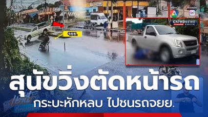 คนขับรถกระบะเหินชนรถ จยย. ขอให้เอาผิดเจ้าของสุนัข