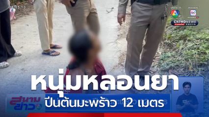 หนุ่มหลอนยา ปีนต้นมะพร้าว 12 เมตร จ.พัทลุง