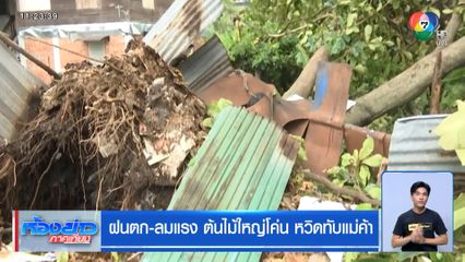 ฝนตก-ลมแรง ต้นไม้ใหญ่โค่น หวิดทับแม่ค้า