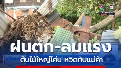 ฝนตก-ลมแรง ต้นไม้ใหญ่โค่น หวิดทับแม่ค้า