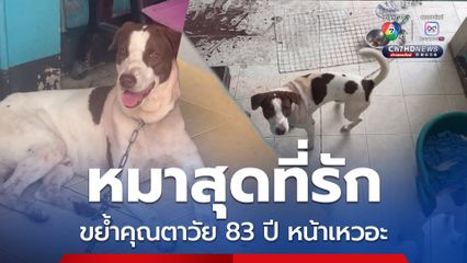 หมาสุดที่รัก ขย้ำคุณตาวัย 83 ปี หน้าเหวอะ