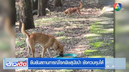 ยืนยันสถานการณ์โรคพิษสุนัขบ้า ยังควบคุมได้