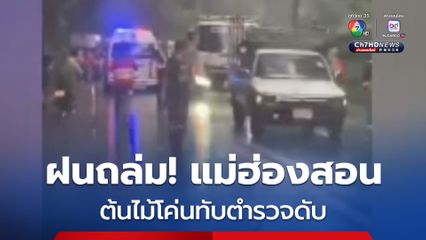 แม่ฮ่องสอน ฝนถล่ม! ต้นไม้โค่นทับตำรวจเสียชีวิต ขณะขี่รถจยย. ผ่าน