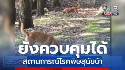 ยืนยันสถานการณ์โรคพิษสุนัขบ้า ยังควบคุมได้