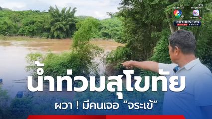 น้ำท่วมสุโขทัย ! ชาวบ้านผวามีคนพบ “จระเข้” แถมมีคนแจ้งสุนัขหาย 2 ตัว