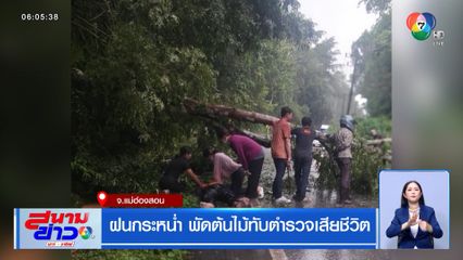 ฝนกระหน่ำ พัดต้นไม้ทับตำรวจเสียชีวิต