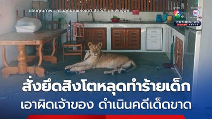 รมว.ทส สั่งยึดสิงโตหลุดทำร้ายเด็ก เอาผิดเจ้าของ ดำเนินคดีเด็ดขาด