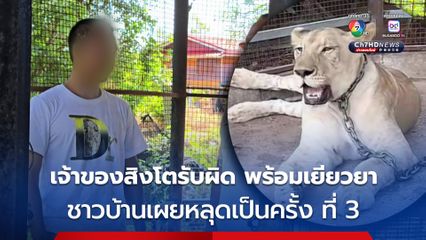 เจ้าของสิงโตยอมรับผิด เยียวยาคนเจ็บเต็มที่ พร้อมให้เจ้าหน้าที่รับสิงโตไปดูแล 