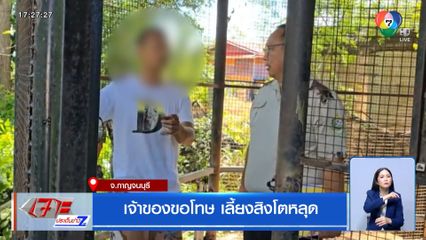 เจ้าของขอโทษ เลี้ยงสิงโตหลุด