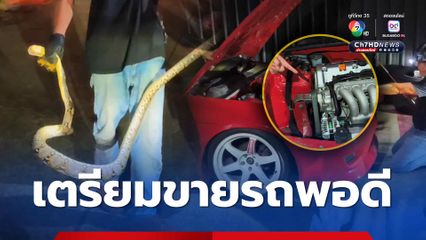 ถึงกับตกใจ! เปิดฝากระโปรงรถ เจองูเหลือมนอนขด เชื่อมาให้โชค