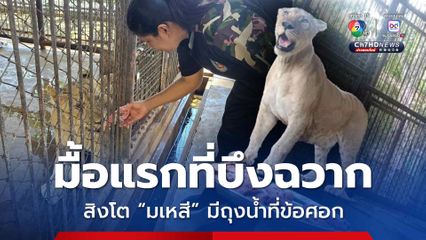 มเหสี กินมือแรกที่บึงฉวาก ต้องกักตัว 7 วัน