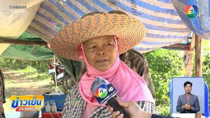 หวั่น "กัมพูชา" ขโมยเกี่ยวข้าว จ.สระแก้ว