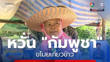 หวั่น "กัมพูชา" ขโมยเกี่ยวข้าว จ.สระแก้ว