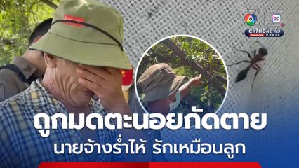 หนุ่มลูกจ้างบ่อปลาวัย 39 ปี ถูกมดตะนอยกัดตาย นายจ้างร่ำไห้ บอกรักเหมือนลูก