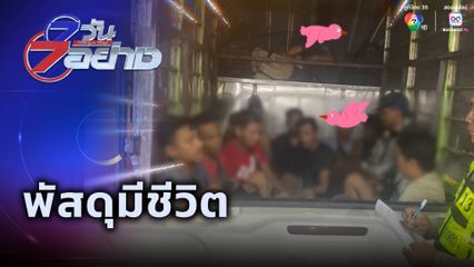 7 วัน 7 อย่าง : พัสดุมีชีวิต