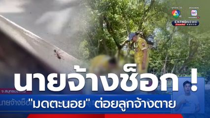 นายจ้างช็อก ! มดตะนอยต่อยลูกจ้างตาย จ.สมุทรปราการ