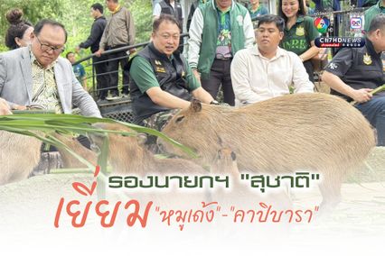 สุชาติ ชมกลิ่น เยี่ยมสวนสัตว์เปิดเขาเขียว จ.ชลบุรี เยี่ยมชม หมูเด้ง ขวัญใจมหาชน