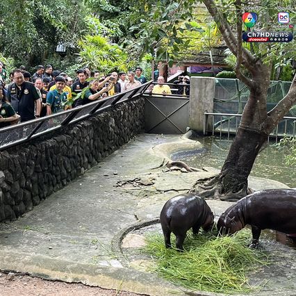 สุชาติ ชมกลิ่น เยี่ยมสวนสัตว์เปิดเขาเขียว จ.ชลบุรี เยี่ยมชม หมูเด้ง ขวัญใจมหาชน