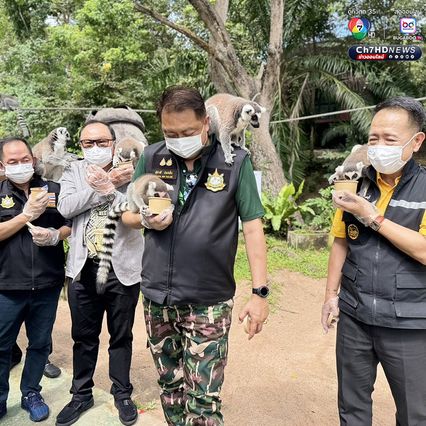 สุชาติ ชมกลิ่น เยี่ยมสวนสัตว์เปิดเขาเขียว จ.ชลบุรี เยี่ยมชม หมูเด้ง ขวัญใจมหาชน