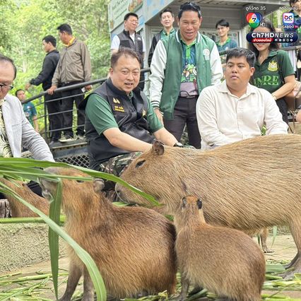 สุชาติ ชมกลิ่น เยี่ยมสวนสัตว์เปิดเขาเขียว จ.ชลบุรี เยี่ยมชม หมูเด้ง ขวัญใจมหาชน