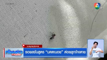 รอผลชันสูตร มดตะนอยต่อยลูกจ้างตาย