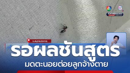 รอผลชันสูตร มดตะนอยต่อยลูกจ้างตาย
