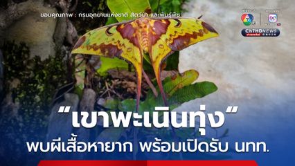 เขาพะเนินทุ่ง อุทยานแห่งชาติแก่งกระจาน พบผีเสื้อหายาก และพร้อมเปิดรับนักท่องเที่ยว 1 พ.ย. นี้